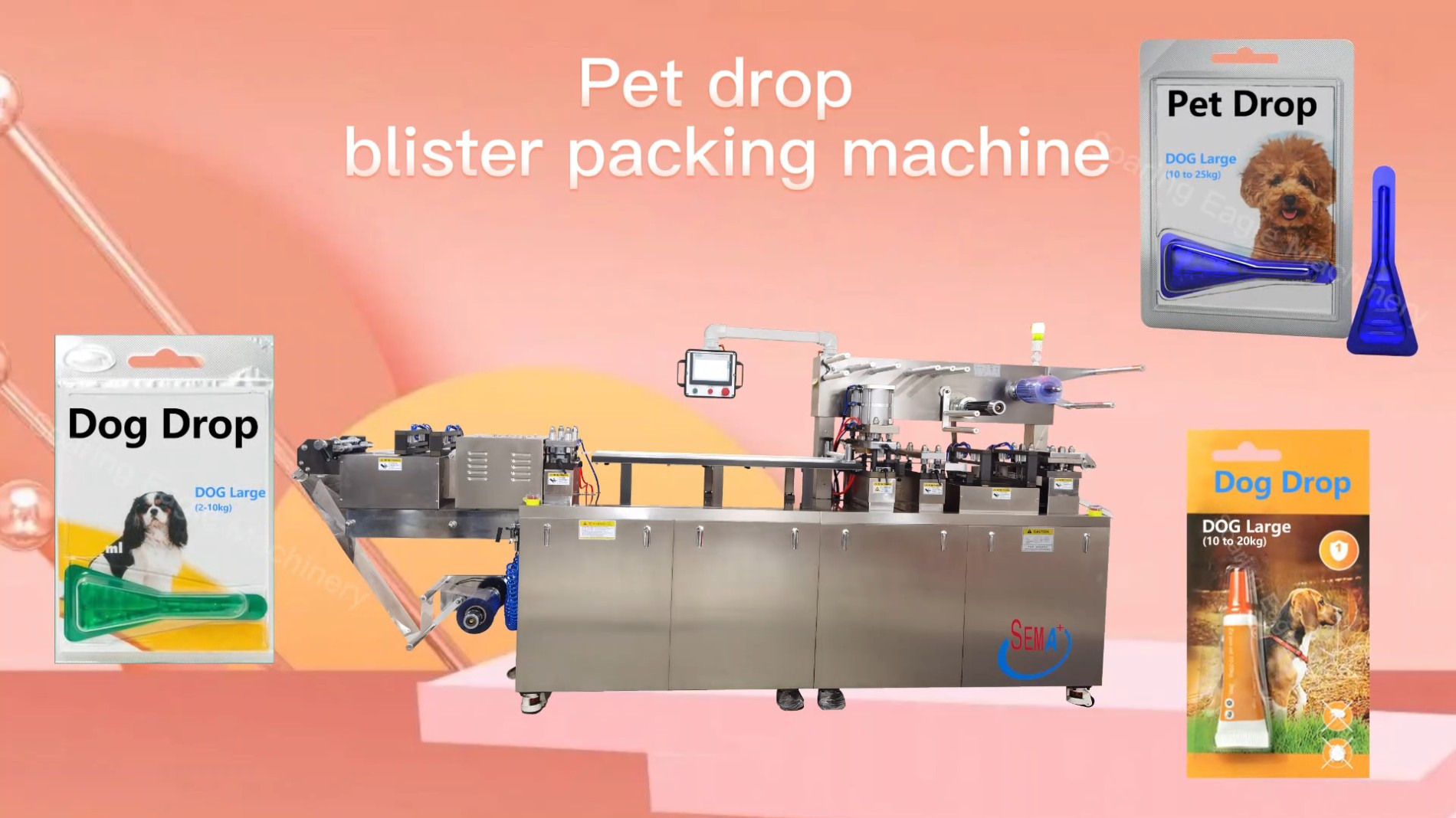 Automatic PET Animal pipette blister liquid packing machine